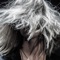 Demon Lover - Carmen Villain lyrics