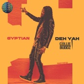 Deh Yah (feat. Collie Buddz & Ricky Blaze) artwork
