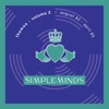 Don't You (Forget About Me) by Simple Minds iTunes Track 13