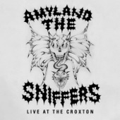 Amyl and the Sniffers - Control (Live at the Croxton)