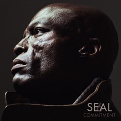 SEAL 6 - COMMITMENT cover art