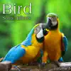 Bird Sound Effects, Vol. 1 album lyrics, reviews, download