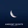 Ambient Nights album lyrics, reviews, download