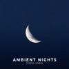 Ambient Nights, 2021
