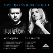 Acid Queen - The Remixes artwork