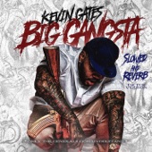 Big Gangsta (Slowed and Reverb TikTok Version) artwork