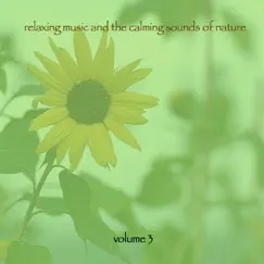 Relaxing Music & The Calming Sounds of Nature, Vol. 3 by Music for Meditation & Relaxation album reviews, ratings, credits