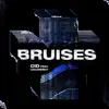 Bruises (feat. Gramercy) - Single album lyrics, reviews, download