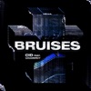 Bruises (feat. Gramercy) - Single, 2021