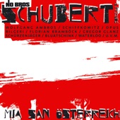 Mia san Österreich (feat. Martin Seimen, Wolfgang Ambros, Schiffkowitz, Bluatschink, Bilgeri, Waterloo, Klaus Pruenster, Gregor Glanz, Opus, Walter Stuefer, Schürzenjäger, Sunny Pfleger, Susi Kra, Sara De Blue, Manu Stix, Michael Ausserhofer, Irene Ranz,  artwork