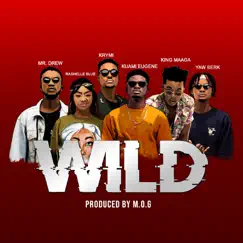 Wild - Single by King Maaga, Mr Drew, KRYMI, YAW BERK, Rashelle Blue & Kuami Eugene album reviews, ratings, credits