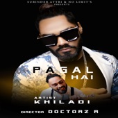 Pagal Hai artwork