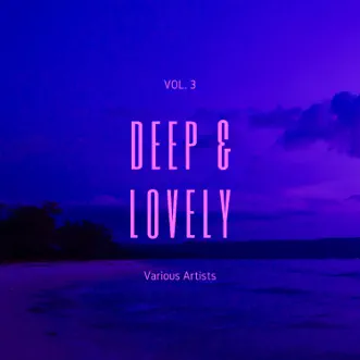 Deep & Lovely, Vol. 3 by Various Artists album reviews, ratings, credits