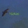 Niekas - Single