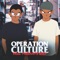 Miss Understood (feat. Iya Terra) - Operation Culture lyrics