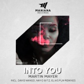 Into You (Nayio Bitz Remix) artwork