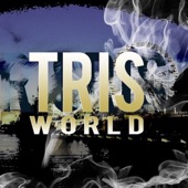 Tris J - Grown Folks Business