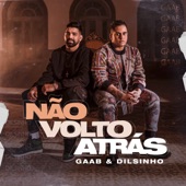 Não Volto Atrás (feat. Dilsinho) artwork