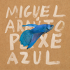 Peixe Azul - Miguel Araújo