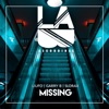 Missing - Single