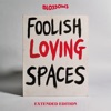 Foolish Loving Spaces (Extended Edition) artwork