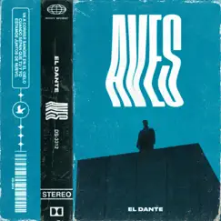 Aves - Single by Dante Spinetta album reviews, ratings, credits