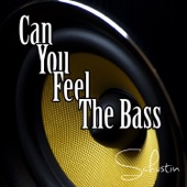 Can You Feel the Bass (Radio Edit) artwork