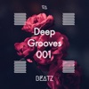 Deep Grooves 001