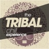 The Tribal Chill Experience
