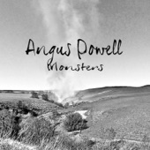Angus Powell - Lines