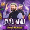 Ya Ali Ya Ali - Single