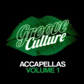 Groove Culture Accapellas, Vol.1 (Compiled by Micky More & Andy Tee) artwork