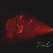 Feels artwork