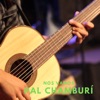 Nos Vamos Pa'l Chamburí - Single