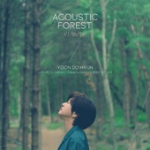 The Acoustic Forest - EP artwork