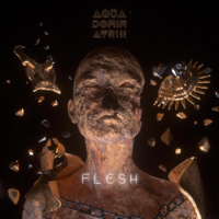 Aqua Dominatrix - Flesh artwork