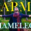 Karma Chameleon - Single