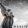 Free - Single