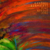 Randall Bramblett - Rocket to Nowhere