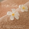 50 Spa Tracks: Relaxing Spa Meditation Music and Asian Instrumental Music for Massage, Beauty Care & Total Relaxation