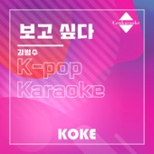 보고 싶다 : Originally Performed By 김범수 (Karaoke Verison) artwork