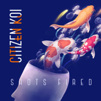 Citizen Koi - Shots Fired (feat. Mary Ann Alexander) - Single artwork