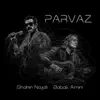 Parvaz (feat. Babak Amini) - Single album lyrics, reviews, download