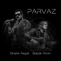 Parvaz (feat. Babak Amini) - Single by Shahin Najafi album reviews, ratings, credits