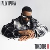 Likolo (feat. Ninho) by Fally Ipupa iTunes Track 2