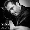 Sensi by Emilio Ingrosso iTunes Track 1
