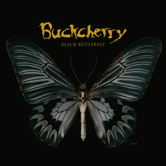 Talk to Me by Buckcherry song reviws