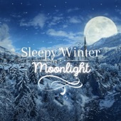 Sleepy Winter Moonlight artwork