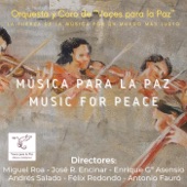 Música para la Paz (En Vivo) artwork