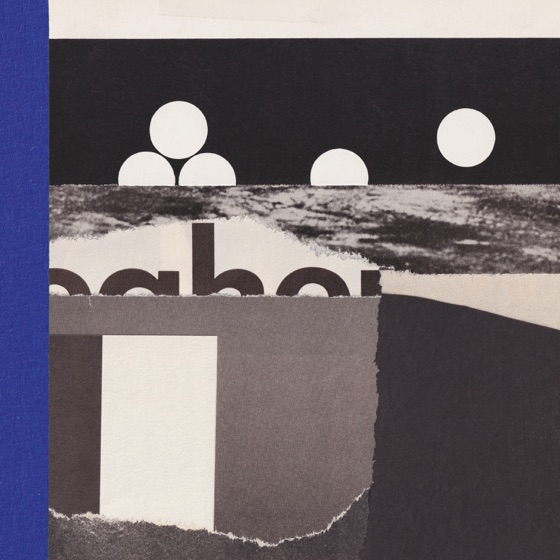 Cover artwork for Phantom Limb